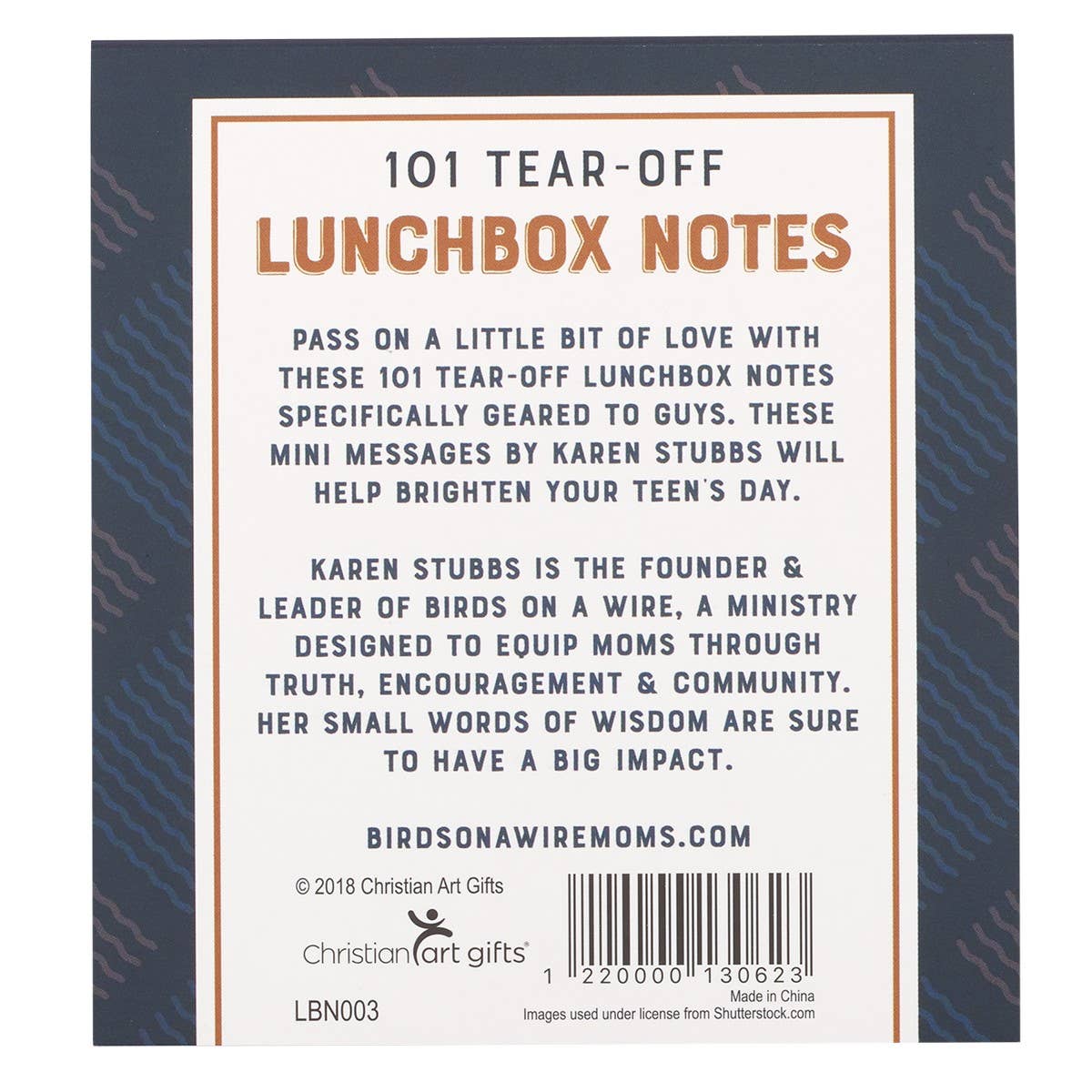 Christian Art Gifts - 101 Lunchbox Notes for Guys