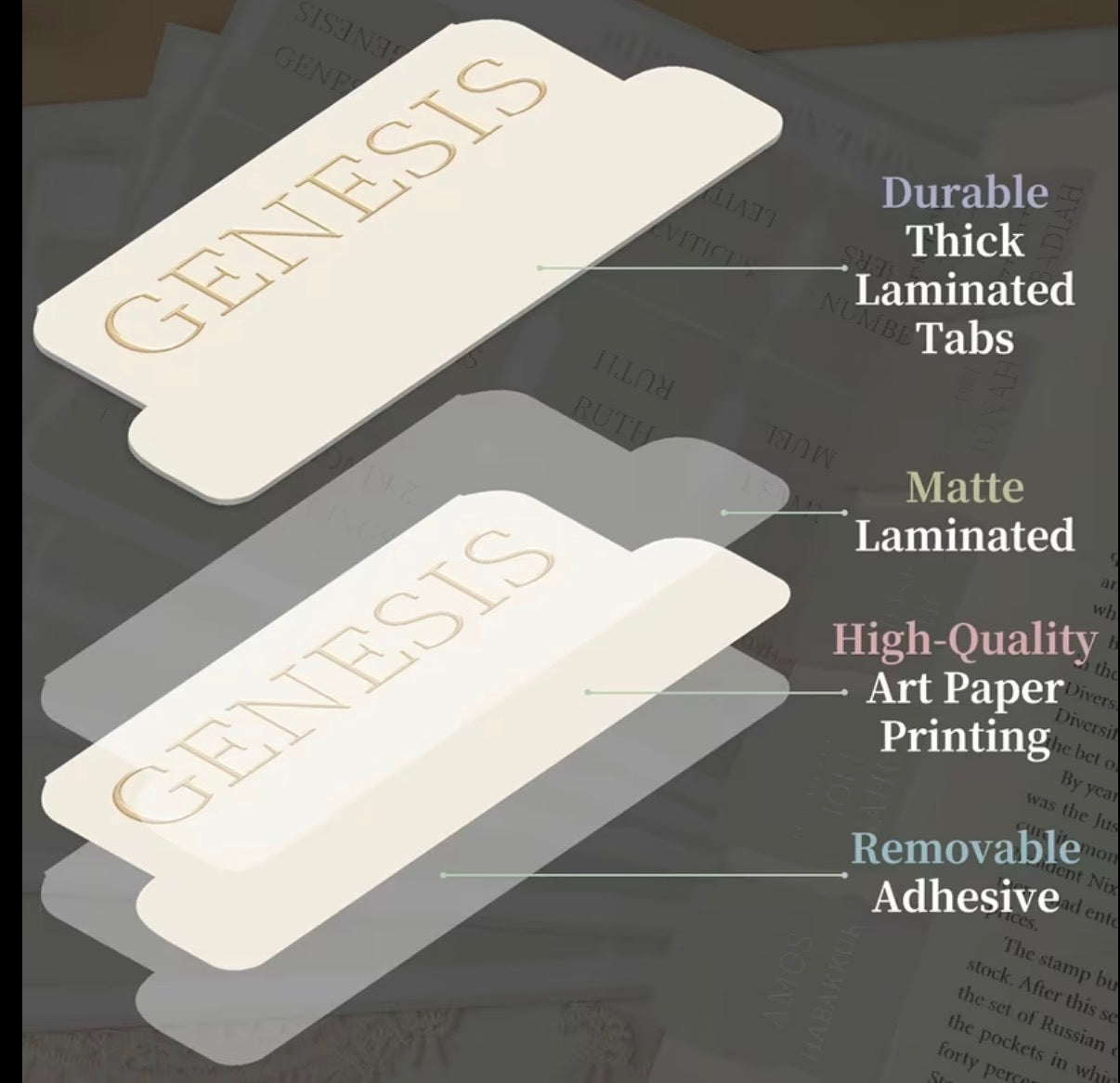 Bible Book Labels
